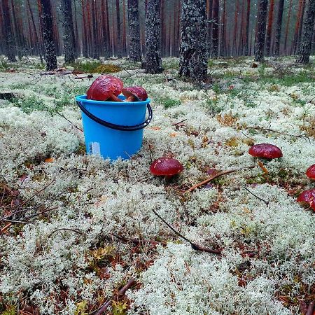 Mysig Timmerstuga Vid Sjoen Bjoerken 34 Roennsudden Grangärde المظهر الخارجي الصورة