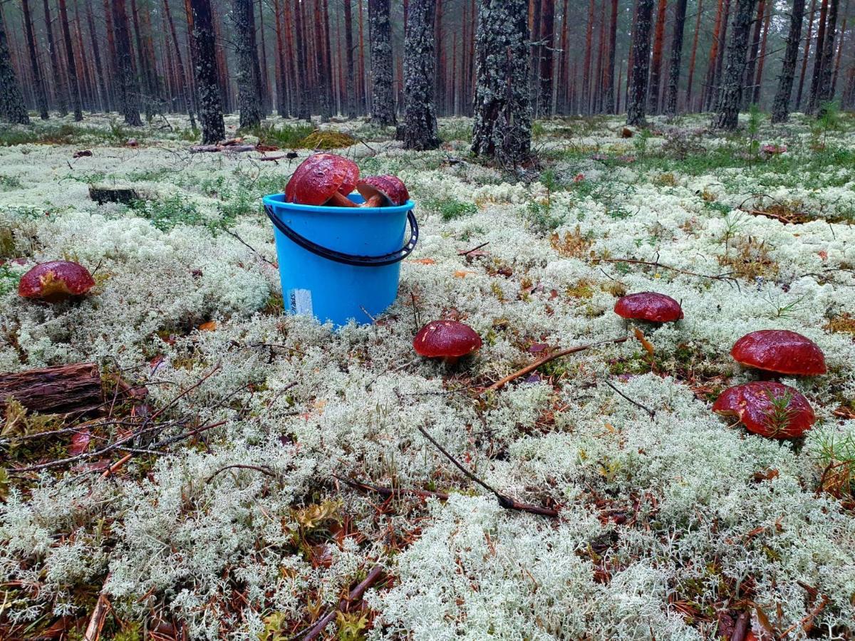 Mysig Timmerstuga Vid Sjoen Bjoerken 34 Roennsudden Grangärde المظهر الخارجي الصورة